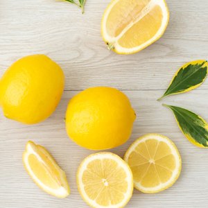  미국산 씨없는 레몬 10입 (중과120g 140과)