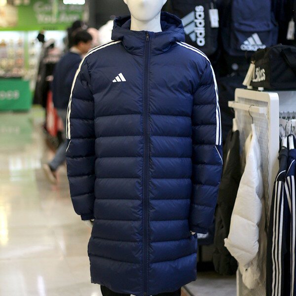 확대된 대표 1