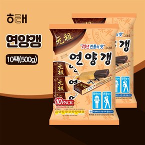 연양갱 10팩(500g)