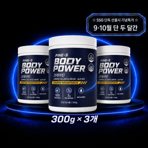파인스 바디파워 크레아틴 모노하이드레이트 300g, 3개