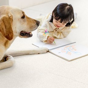 [펫노리터] 셀프시공 펫 강아지 고양이 롤매트 포근하개 아이보리 / 1.7cm / 110폭 / 1M