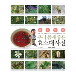 우리 몸에 좋은 효소대사전 : 솔뫼 선생과 함께 만드는 우리 자연의 건강약초 효소액 250종 [비닐] [화진유통]