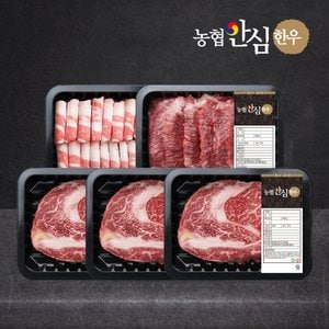 농협안심한우 [신세계백화점] 산지직송 1등급 한우 프리미엄 세트 1kg (꽃등심/꽃등심/꽃등심/차돌/모듬)