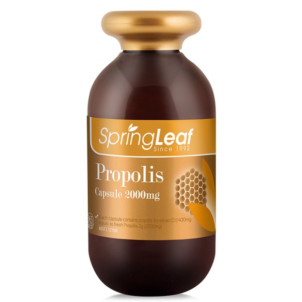 스프링리프 프로폴리스 Propolis 2000mg 365캡슐