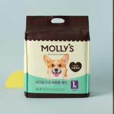 몰리스 3~4회용 패드 L 35매