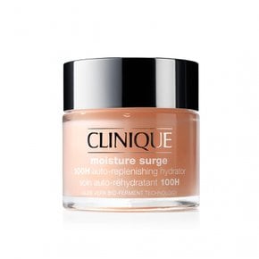 클리니크 CLINIQUE 모이스처 서지 젤 크림 100H 75mL