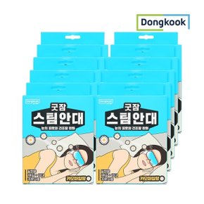 [동국]굿잠 카모마일 향 스팀안대 10매입 x 10개