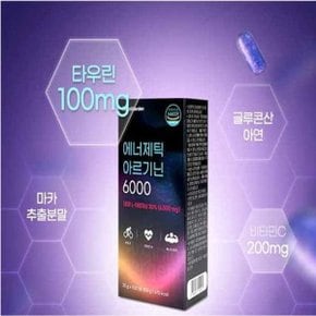 에너제틱 아르기닌 6000 뉴트리가든 20g X 15포