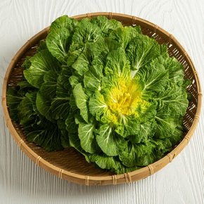 봄동 배추 3kg(10-18입 내외)