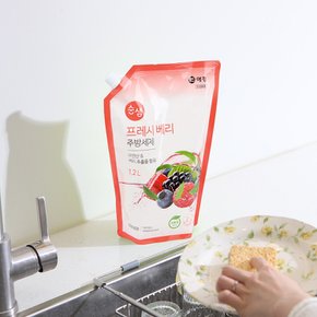 순샘 베리 1.2L 리필용  주방 세제
