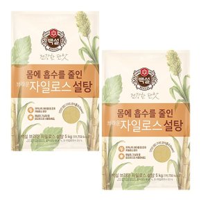 [CJ] [G] 백설 브라운 자일로스 설탕 5Kg X 2개