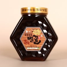 [쓱단독][지정일배송][함평나비꿀] 전라도 순수 자연산 밤꿀 2kg 선물세트 / 벌꿀성적서 동봉