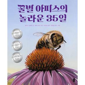 꿀벌아피스의놀라운35일생각곰곰시리즈9양장