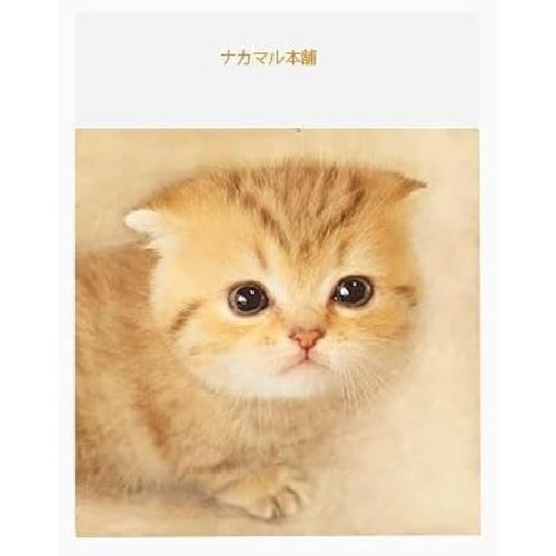 상품 이미지3