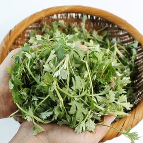 [산지직송] 함평 무농약 생 쑥 150g