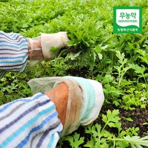 [산지직송] 함평 무농약 생 쑥 150g