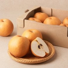  알뜰 배 3-7입 3kg내외 (박스)