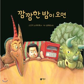 (중고/상)깜깜한 밤이 오면