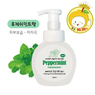  민트향 핸드워시 거품형 300ml 1개