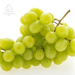 달콤한 씨없는 애플 청포도 2kg(4-6수)