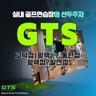 스마틱스 [GTS골프아카데미] 고덕/동탄/평택/일산점 : 타석이용권 10회권