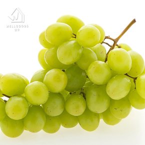 달콤한 씨없는 애플 청포도 4kg(8-12수)