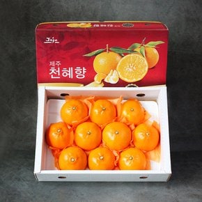 프리미엄 제주 천혜향 선물세트 3kg(11-13과)