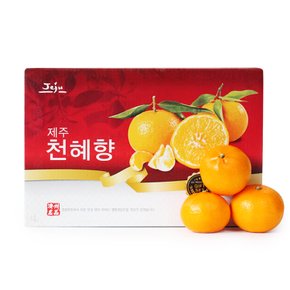 프리미엄 제주 천혜향 선물세트 3kg(11-13과)