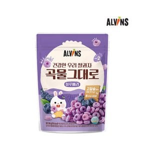 건강한 우리 쌀과자 곡물그대로 2단계 (블루베리)