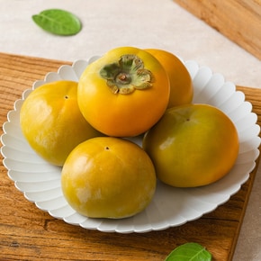 경남 가정용 햇 태추 단감 2kg 대과