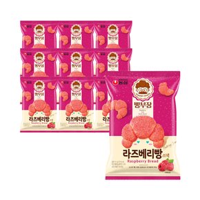 농심 빵부장 라즈베리빵 55g x 10개 / 스낵 과자