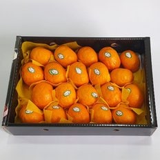  달콤한 카라향 감귤3kg(18개내외)