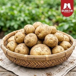 [마녀바스켓] 산지직송 포슬포슬 햇감자 수미감자 대 3kg (70-130g 내외)