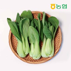 농협선별 신선한 청경채 1kg