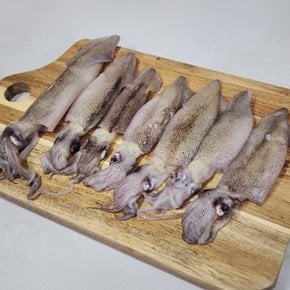 냉동 한치 통찜 500g