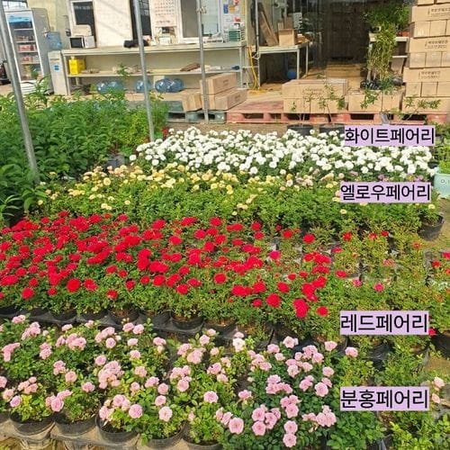 추가이미지3
