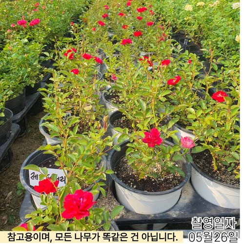 추가이미지4
