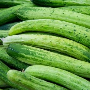 국내산 백오이 백다다기오이 / 5kg