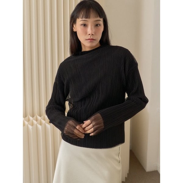 Sheer Pleated Mesh High Neck Top_Black
