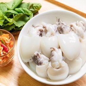 [통영직배송] 새담 손질 미니갑오징어 500g