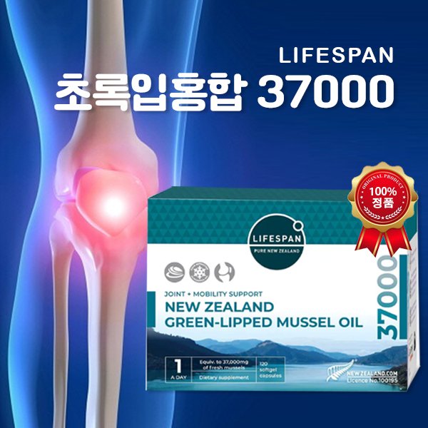 확대된 대표 메인이미지