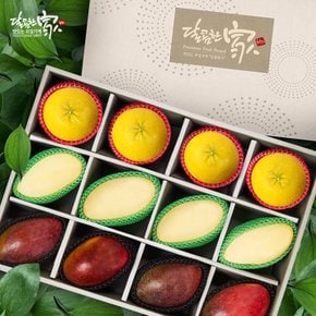 [9/21(월) 오전 9시결제건까지 명절전배송]당도엄선 특수과일 혼합세트 (황금향1.3kg+골드망고1.6kg+애플망고2.0kg)각 4과 /총12과 4.9kg