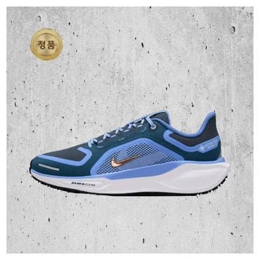 나이키 매장정품 나이키 NIKE 페가수스 41 GORE-TEX 여성 FQ1357-400 1513703