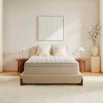  마테라소 포레스트 클라우드 하드타입 Q