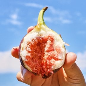 과즙 팡팡 제철 여름과일 모음전(복숭아/자두/참외/수박 등)