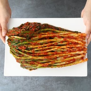 전라도 전통식품 인증 김치 파김치 1kg /HACCP인증 당일제조 100% 국산김치