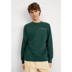 4402504 GANT GRAPHIC C-NECK - Sweatshirt tartan green