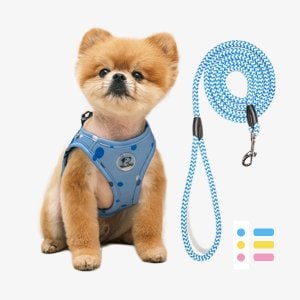 REAL PET 도트 슬림 하네스 + 리드 set (3color) 강아지 조끼 가슴줄 애견 산책 용품