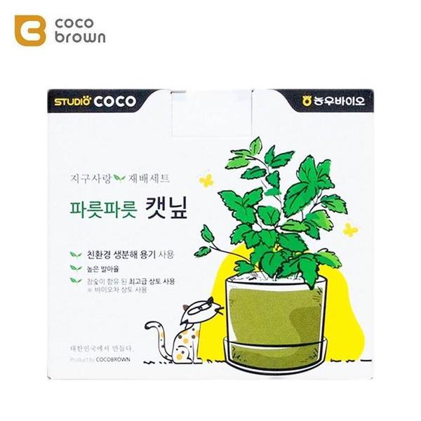 참숯 배양토 사용 냥이 캣닢 재배세트 꿀잼 좋아하는(1)