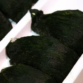 국내산 남해안 완도 매생이 1제기 350g